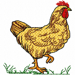 Chickens And Roosters Embroidery Design 5 Chickens And Roosters Embroidery Design 5
